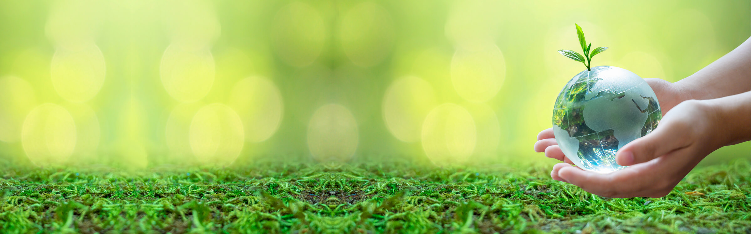 Corporate Social Responsibility