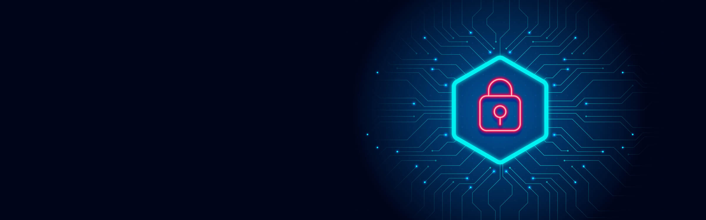 Penetration Testing