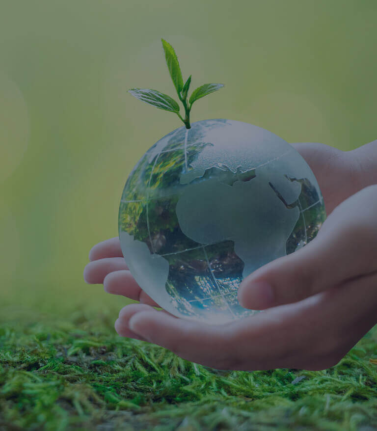 Corporate Social Responsibility